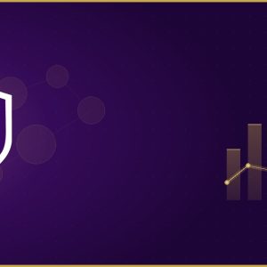 TBT Marketing Service